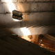 Illustration for article titled Abandoned Shipyard Halls Look Magical After Heavy Rain